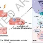 Nature | 浙江大学王迪团队表明Gasdermin D介导的代谢串扰促进组织修复