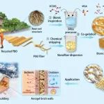 苏州纳米所王锦、东南大学孙正明/张培根 Mater. Sci. Eng. R：升维策略结合共凝胶制备仿生高性能气凝胶