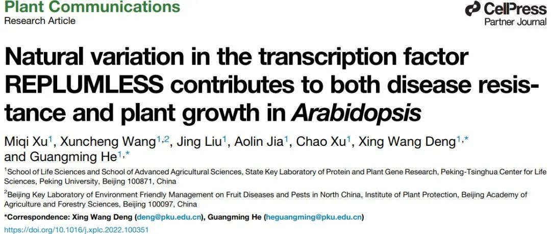 文献分享 | 转录因子REPLUMLESS的自然变异有助于拟南芥生长和抗性增强