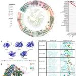 北京林业大学博士生一作在一区Top期刊（IF=7.7）发表研究成果！