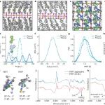 Nature：普渡大学窦乐添团队发现二维无机晶格限域的有机分子新物态-类单分子聚集体