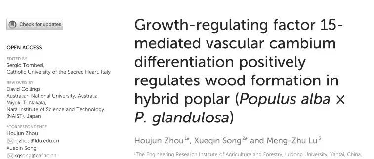 文献分享 | GRF15介导的维管形成层分化正向调节84K的木材形成