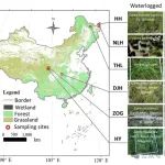 冯晓娟团队Functional Ecology最新成果！