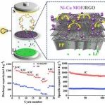 西安建筑科技大学《IECR》：空心海胆类Ni-Co MOF和石墨烯，用于高性能Li-S电池