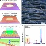 清华大学《ACS Nano》：在基于超长碳纳米管的高性能传感器研究方面取得重要进展