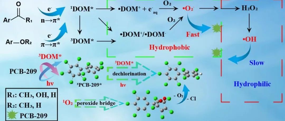 【他山之石】南京大学环境学院曲瑞娟副教授：溶解有机物对非均相体系中PCB-209光降解的影响——实验分析和激发态理论计算