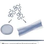 研究进展：单分子荧光共振能量转移FRET | Nature Reviews Physics