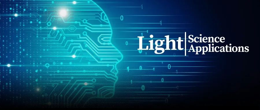 Light | 革新光纤通信：基于可学习数字信号处理的线性补偿新基准