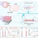 Nat.&#160;Commun. | 中国科大实现氮化镓基仿生光电神经感知器件