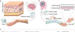 厦大廖新勤 AFM：传感器内微分和决策的可编程电子触觉皮肤