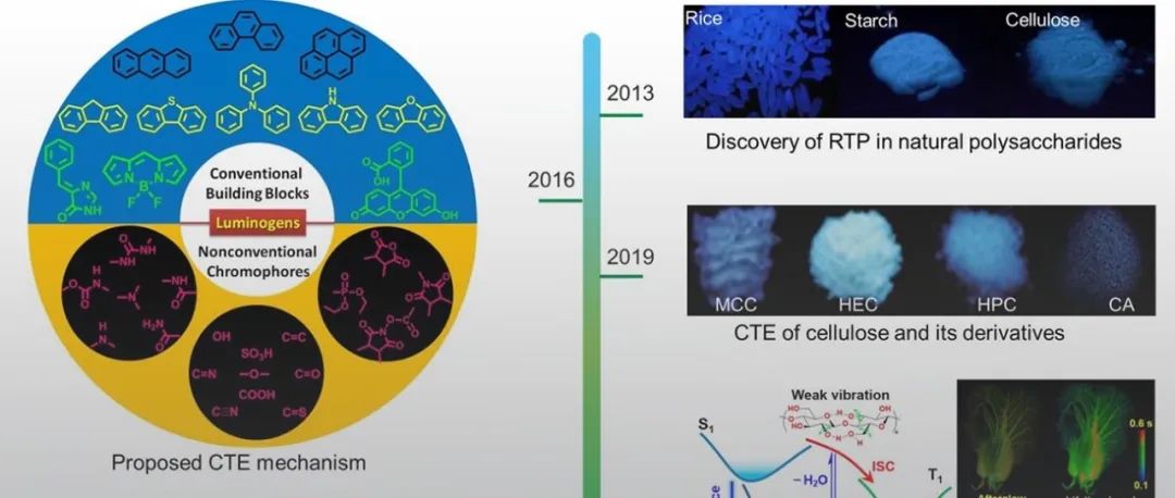 北林彭锋教授团队《Prog. Mater. Sci.》综述：天然多糖基室温磷光材料