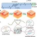 AFM：用于智能缝合的可调生物衍生类皮肤形状记忆纤维