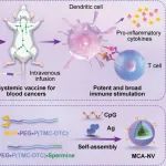 Adv. Mater：系统性多功能纳米疫苗用于对急性髓系白血病进行有效的个性化免疫治疗
