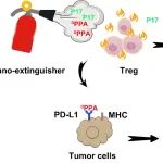 西安电子科技大学邓宏章ACS Nano：调节性T细胞的纳米灭火器可调控多重免疫逃避以用于免疫治疗