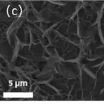 辽宁工业大学《Scripta Materialia》：一种非贵金属Fe基析氢反应电极