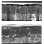 研究透视：北京大学朱瑞团队-钙钛矿太阳能电池-界面分子 | Nature Energy