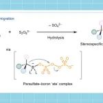 湖南大学李家昆教授课题组Nature Synthesis：基于立体专一性C–O成键的硫酸化新方法