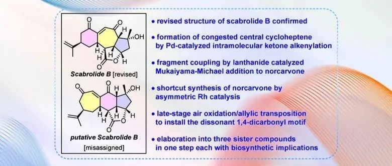 JACS：降西松烷二萜ScabrolideB全合成和SinuscalideC、Ineleganolide、Horiolide合成