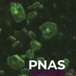 山东大学硕士生以第一作者身份在《PNAS》发表封面论文，揭示长效去除有机污染物新机制