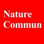 &#8203;中科大王成威，Nature子刊！全固态锂电池界面稳定性