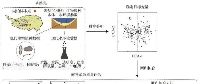 【全新世：人类世的历史背景】定量转换函数在人类世湖泊水环境变化研究中的应用