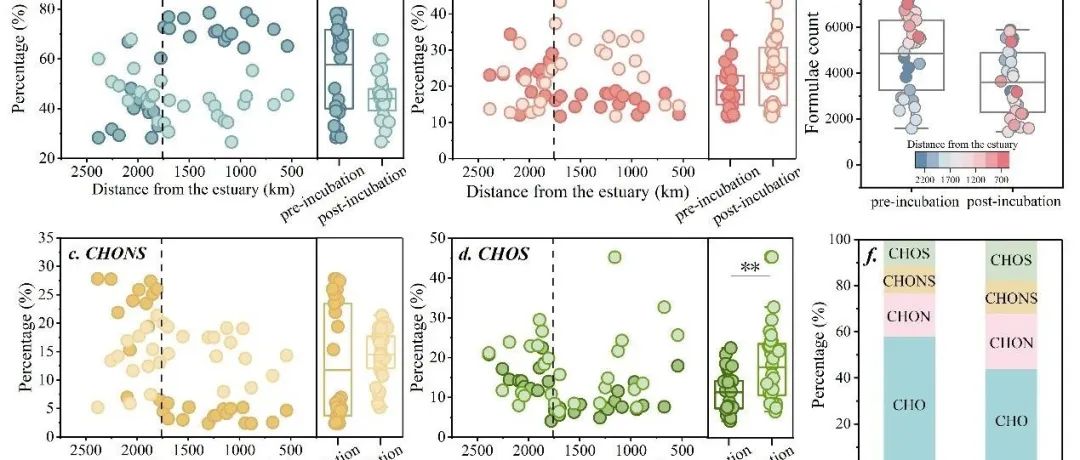 【视点】南京师范大学地理科学学院黄昌春团队：分子组成限制河流溶解有机质分解的反应动力学