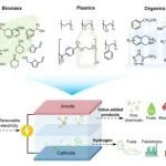 段昊泓Chem综述：耦合高附加值阳极反应实现节能制氢