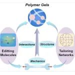 刘维民院士/郭志光/黄金霞Chem. Rev.：聚合物凝胶的机械调节