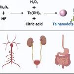 天津医科大学孙少凯ACS Nano：克级别的高水溶性钽纳米点，以用于计算机断层成像