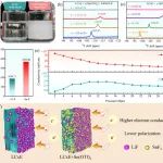 Advanced Functional Materials：电解质策略助力实现大倍率锂/氟化碳电池在各种气候环境中的应用