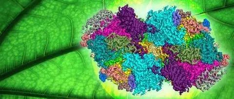 华中师范大学“杰青”团队在Nature Communications发表植物生长调节剂分子设计领域的重要进展