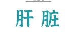 Adv Sci丨陈雄/袁玉峰团队揭秘OSA相关NAFLD的分子机制