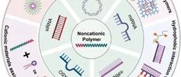 专题文献速递 | 聚合物在核酸递送系统中的应用与优化