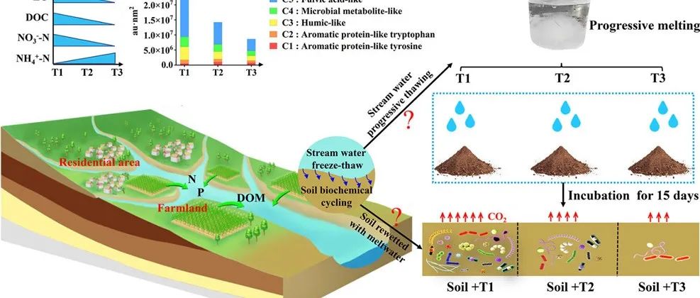【他山之石】西北农林科技大学胡亚鲜课题组：冻融期河岸带地表水可溶性有机物非均质融出过程可显著激发邻近土壤有机碳矿化