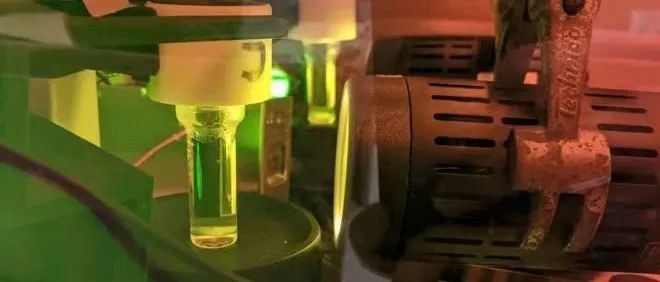 中国科学院大学陈祥雨课题组：一种新的 LBR 活化模式
