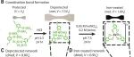 希腊FORTH研究所E. Filippidi、李本科 Macromolecules：流变学研究金属离子配位双网络弹性体