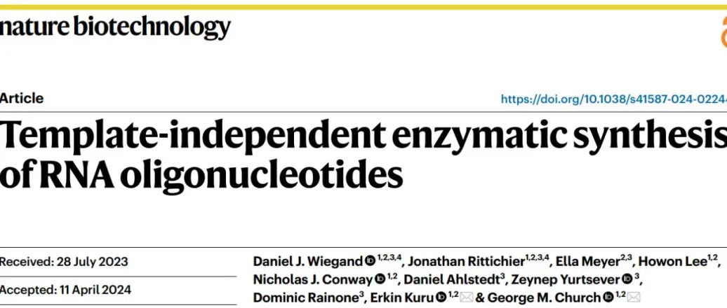 文献分享 ｜ NAT. BIOTECHNOL.｜ 无模板酶促RNA寡核苷酸链合成