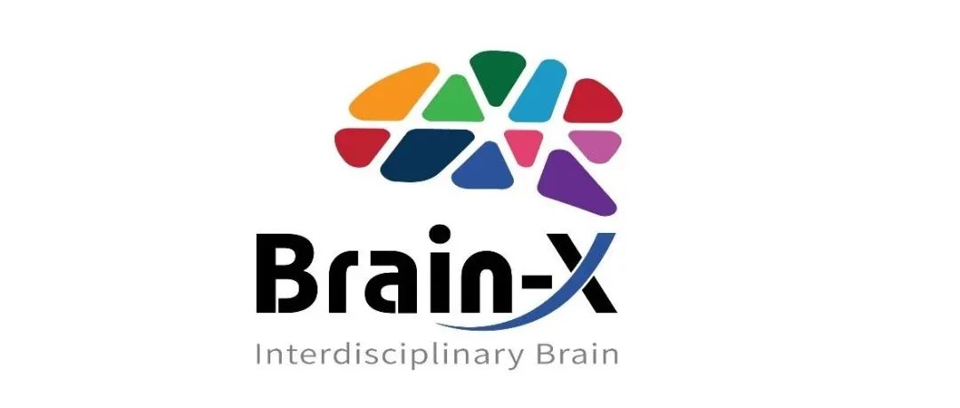 Brain-X | 上线一年，单篇被引40次，全文阅读近25000次！