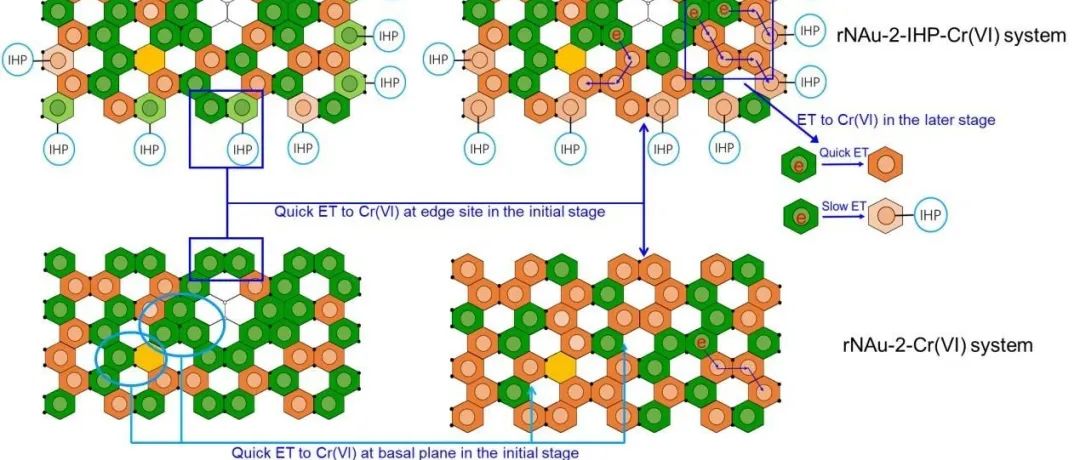 【视点】湖南农业大学崔浩杰教授团队：植酸抑制含Fe(II)黏土矿物还原Cr(VI):改变还原位点和电子转移途径