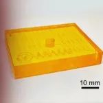中南大学陈泽宇教授课题组《Colloid Surface B》：用于原位形成纯化脂质体的透析功能化微流控平台