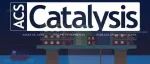 ACS Catalysis | 恒电势下电催化反应的动力学模拟