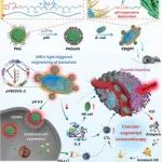 北京化工大学赵娜娜Adv. Mater：NIR-II响应性杂化系统可通过细菌和肿瘤细胞的基因工程实现级联增强的抗肿瘤免疫