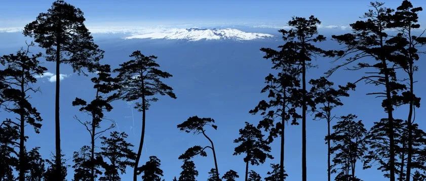 中山大学研究团队在《Ecology Letters》发表重要研究成果！