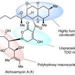 北大雷晓光团队：十年磨一剑，Alchivemycin A的全合成