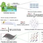中科院化学所曹安民研究员课题组 Nat. Sustain.：在纤维素基固态电解质方面取得新进展