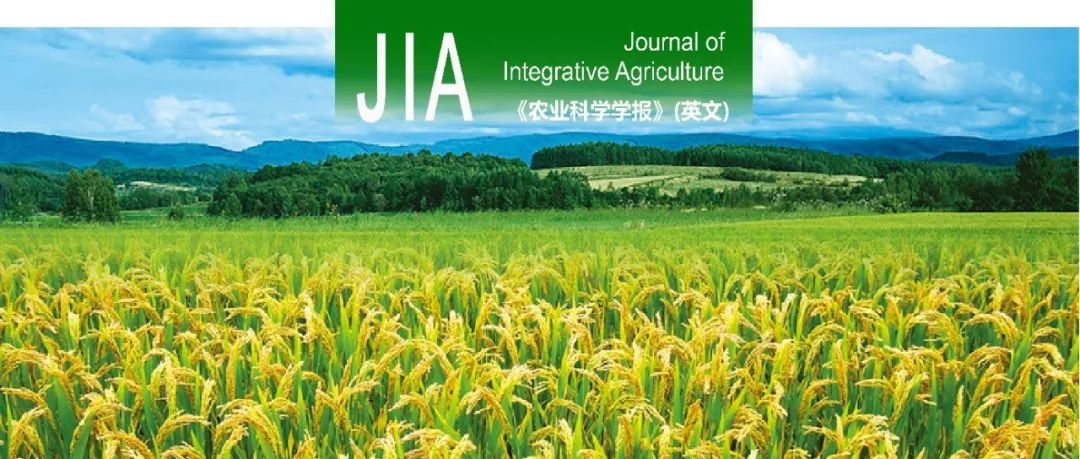 Prog1 Rice JIA|广西大学金健教授团队在水稻关键驯化因子PROG1的反馈调节机制研究 - Book学术