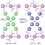 华科大郑炎松教授、宝文理冯海涛教授 Chem. Sci.：四苯乙烯双大环自包合螺旋纳米晶体诱导的手性光学效应显著增强