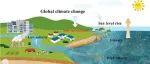 Water Research | 厦门大学卢豪良教授团队在滨海湿地新污染物微塑料迁移机制研究取得新进展