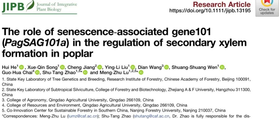 文献分享 | PagSAG101a在杨树次生木质部形成中的调控作用