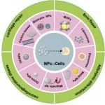 AFM：用于干细胞治疗的纳米工程内细胞生物材料